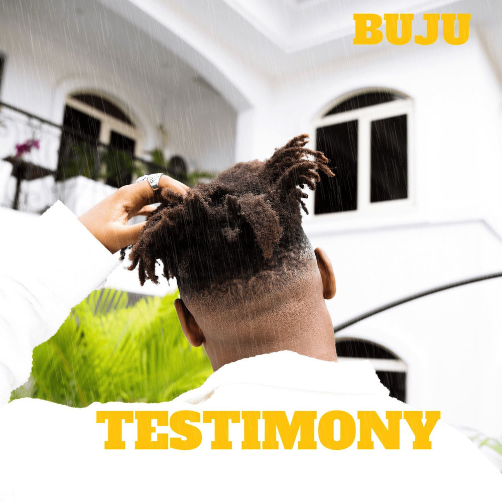 Testimony cover